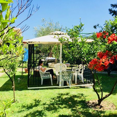 Flamingo Cottage Ulcinj Esterno foto